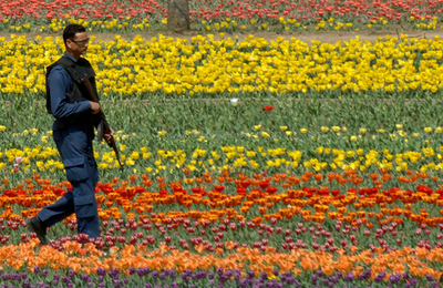 アジア最大のチューリップ園、インド・カシミール地方にオープン