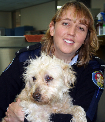 9年間行方不明の犬が飼い主と感動の再会へ 写真2枚 ファッション ニュースならmode Press Powered By Afpbb News
