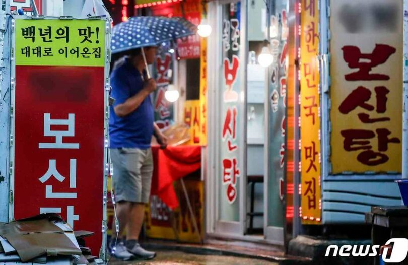 ソウル市鍾路区（チョンノグ）のある市場の犬用飲食店(c)news1