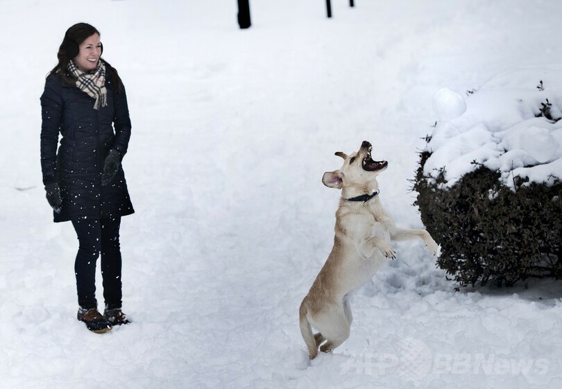 米東部に「スノーマゲドン」襲来、大雪で事故など相次ぐ