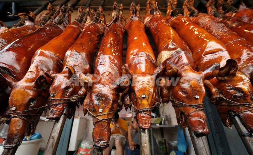 v싅̎7049 YouTube>6{ ->摜>9 