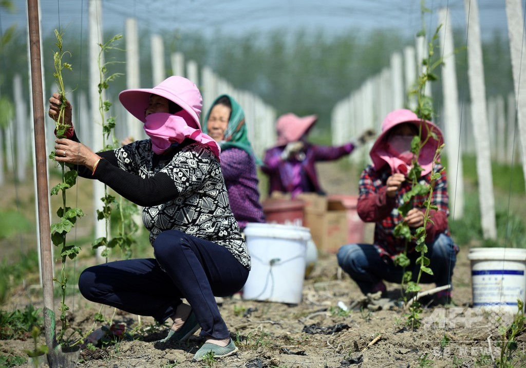 中国 貧困人口の97 の9300万人が脱却 19年末時点 写真2枚 国際ニュース Afpbb News