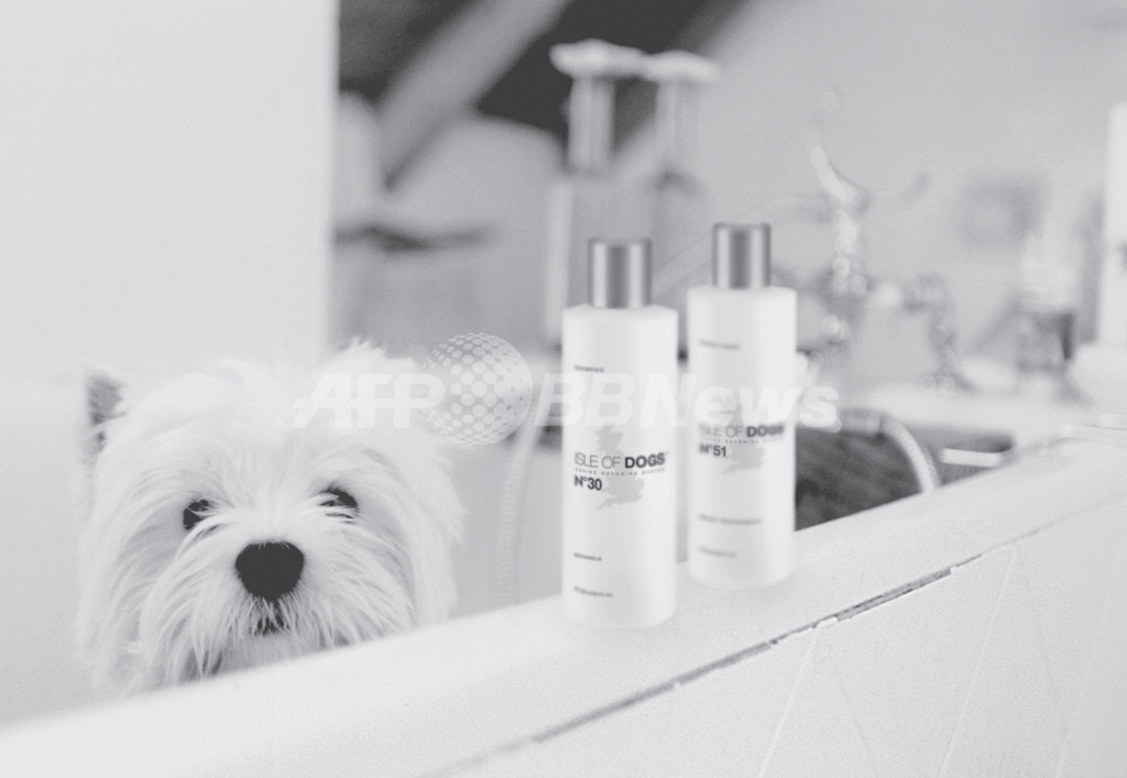 「アイル・オブ・ドッグス」で愛犬に最高のグルーミングケアを