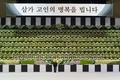 韓国・安山（Ansan）市の体育館に設置された旅客船セウォル（Sewol）号の犠牲者を追悼する献花台の前で頭を下げる人（2014年4月23日撮影）。(c)AFP/KIM DOO-HO