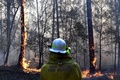 豪ニューサウスウェールズ州北部で、落雷によって発生したとみられる森林火災の現場で消火活動に当たる消防隊員（2019年11月2日撮影）。(c)SAEED KHAN / AFP