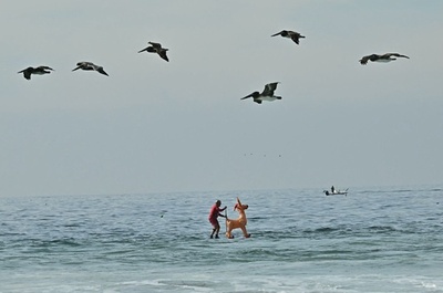 【今日の1枚】サンタは海からやってくる？ カリフォルニア