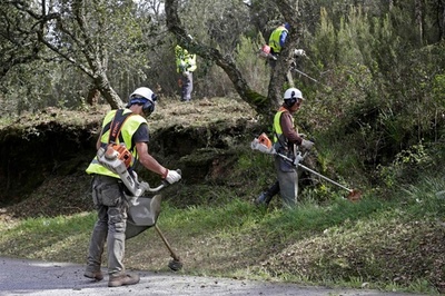 ポルトガル、火災予防で森林を清掃・伐採