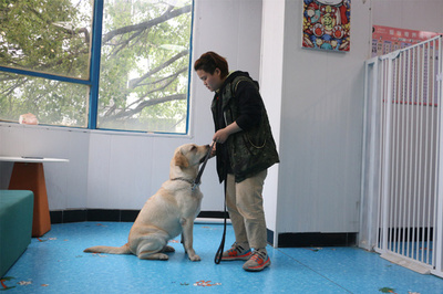 中国で増える「付き添いビジネス」とは？ ライフスタイルの変化で需要高まる