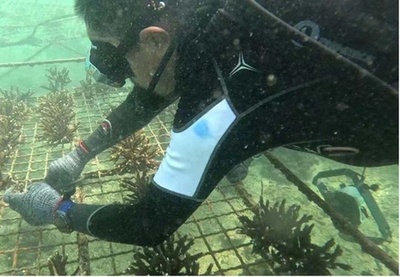 広西の沖合いでボランティア100人がサンゴを移殖 中国