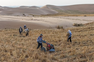過去5年間で砂漠化防止面積が約446万ヘクタールに＝中国内蒙古自治区