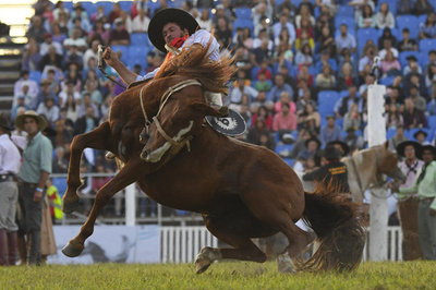【今日の1枚】跳ね駒と勝負