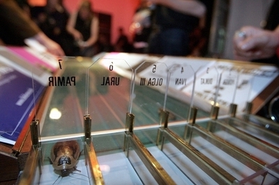 ロボット進化のヒントはゴキブリ？