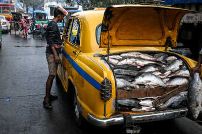 【今日の1枚】トランクに魚を詰め込んで市場に向かうタクシー インド