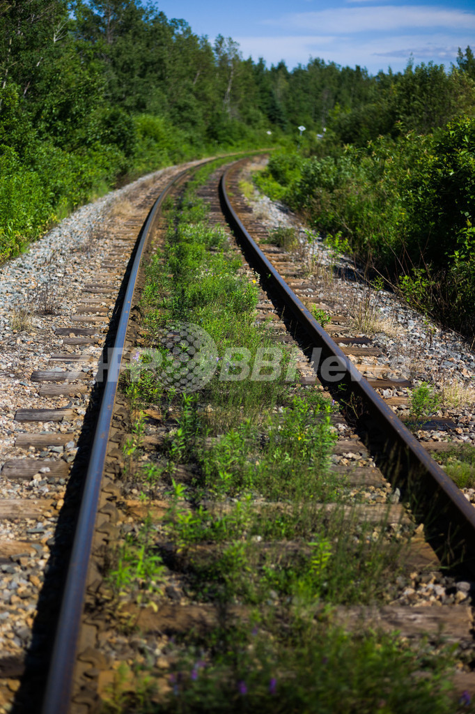 欲情の男女 線路上で行為に及び列車にひかれる ウクライナ 写真1枚 国際ニュース Afpbb News