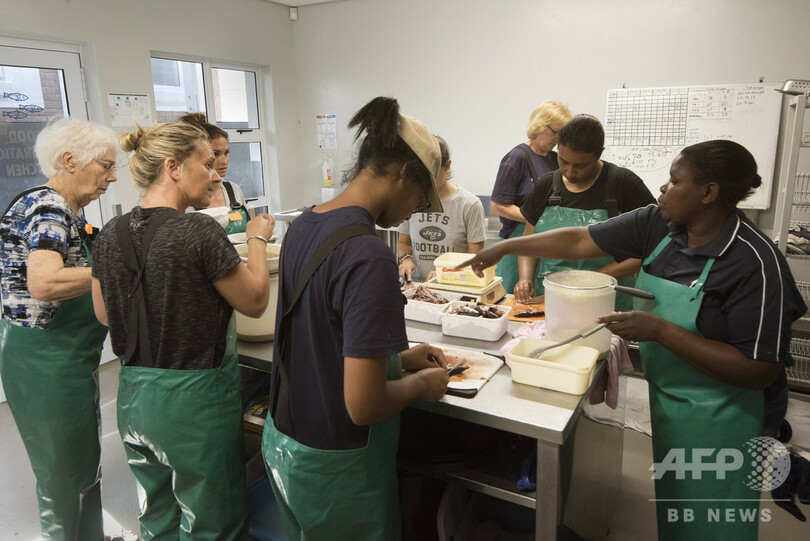 親鳥に捨てられたフラミンゴのひな2000羽保護 南アフリカ
