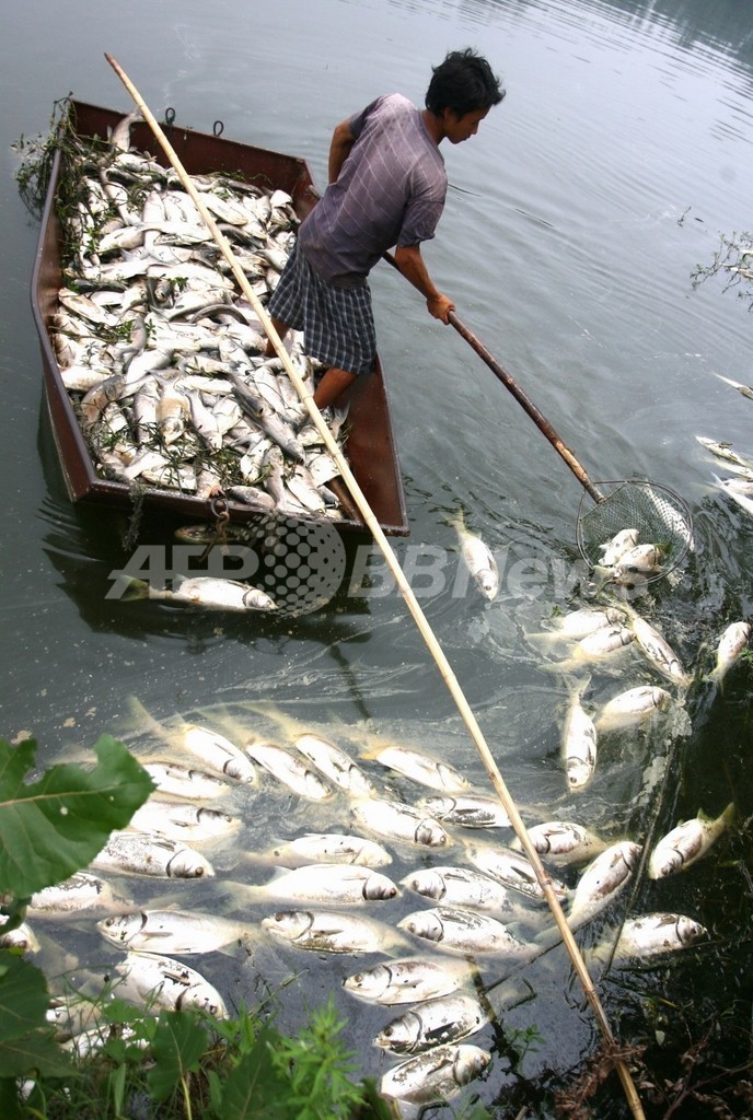 化学工場そばの川で魚15トンが大量死 中国