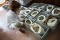スペイン南部セビリアの工事現場から見つかった古代ローマ時代の硬貨。同市の考古学博物館で（2016年4月28日撮影）。(c)AFP/Gogo Lobato