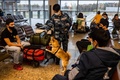 ロシアのアエロフロート・ロシア航空が行っているコロナ探知犬の訓練。モスクワ・シェレメチェボ空港で（2020年10月9日撮影）。(c)Dimitar DILKOFF / AFP