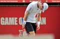 男子テニス、楽天ジャパンオープン（Rakuten Japan Open Tennis Championships 2012）シングルス準決勝。ポイントを奪われ落胆するアンディ・マレー（Andy Murray、2012年10月6日撮影）。(c)AFP/KAZUHIRO NOGI