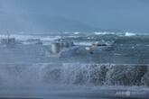 NZ首都に11メートルの高波、住民数百人避難