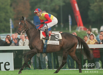 【特集】凱旋門賞、出走した歴代の日本馬
