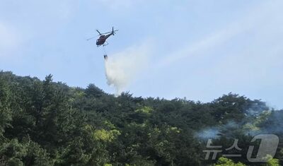 韓国各地で山火事相次ぐ…乾燥警報と強風で拡大、麟蹄では約20時間後に鎮火