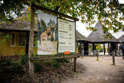 ヒョウに襲われ女性飼育員死亡 オランダのサファリパーク