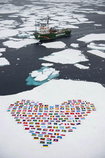 北極の海氷面積、温暖化で観測史上最小に 米研究所