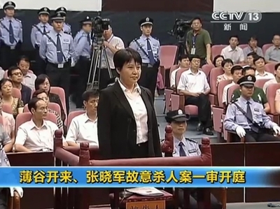 英国人実業家殺害の谷被告に執行猶予付き死刑判決、中国