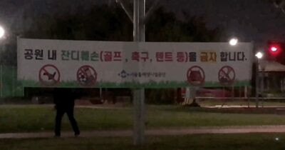 韓国で相次ぐ「迷惑スイング」…禁止場所なのにゴルフ練習ざんまい