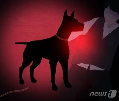 「犬に噛まれたのに私が悪い？」…韓国・夫の冷淡な反応に怒り心頭、被害女性にネットで共感続出