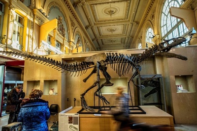 「アロサウルス」の骨格標本、1億3000万円で落札 仏競売