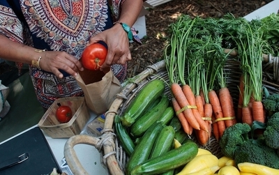 「オーガニックフードと普通の食品、栄養に大差なし」 英研究