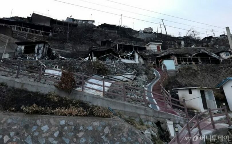 山火事で全焼した慶尚北道盈徳郡の集落(c)MONEYTODAY