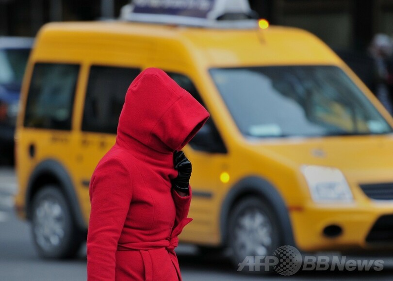 米北東部に暴風雪、2200便が欠航 非常事態宣言も