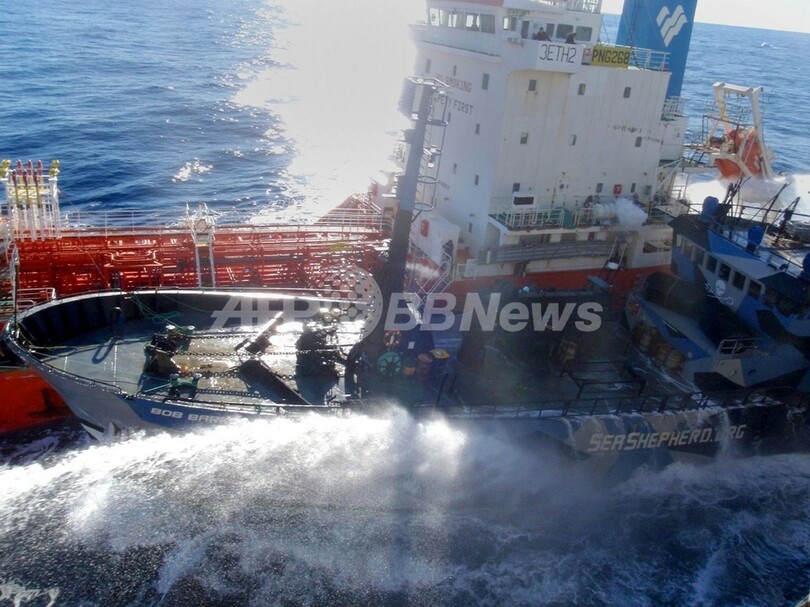 シー・シェパード抗議船、調査捕鯨船と再び衝突