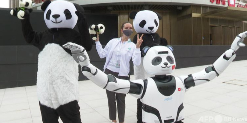 ドバイ万博中国館、パンダウイーク開催