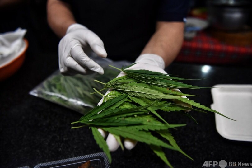 大麻料理で「ハッピー」に 病院で提供開始 タイ
