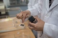 韓国・ソウル郊外の成均館大学で、タコの吸盤をヒントに作成された吸着パッドを指さす学生（2017年6月16日撮影）。(c)AFP/Ed JONES