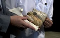 ブラジル・リオデジャネイロ（Rio de Janeiro）で、巨大翼竜「トロペオグナトゥス（Tropeognathus mesembrinus）」の骨格の化石と模型を披露する国立博物館（National Museum）の古生物学者アレクサンダー・ケルナー（Alexander Kellner）氏（2013年3月20日撮影）。(c)AFP/VANDERLEI ALMEIDA