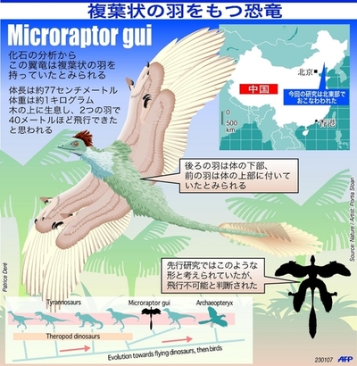 複葉状の羽をもつ翼竜発見か - 米国