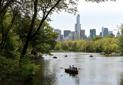 セントラルパークに子熊の死骸、米NYの中心になぜ……