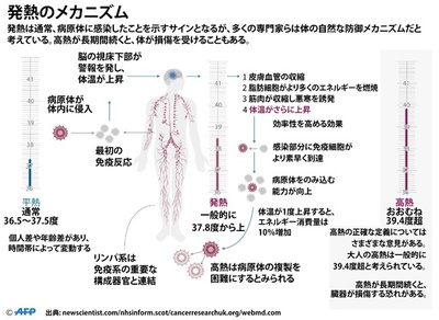 【図解】発熱の仕組み、体の自然な防御メカニズム
