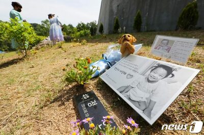 児童虐待を100％防ぐことは難しいとしても…次の悲劇を起こさないために [韓国記者コラム]