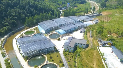 動画：養殖と太陽光発電の相互補完で農村振興　中国湖北省鄖西県