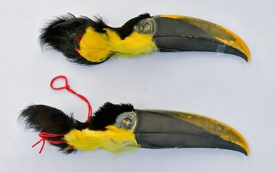 野生動物の部位など1400点押収、儀式で違法に使用 南米コロンビア