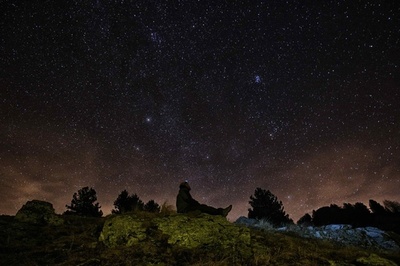 地球外生命を探査 「PLATO」ミッション、ESA承認