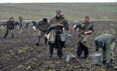 警察官のタマゴ、ジャガイモ収穫をお手伝い ベラルーシ