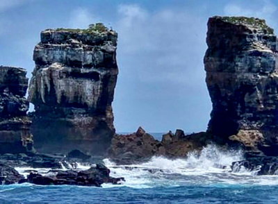 残りわずか211匹 ガラパゴス諸島のピンクイグアナ 個体数調査 写真13枚 国際ニュース Afpbb News