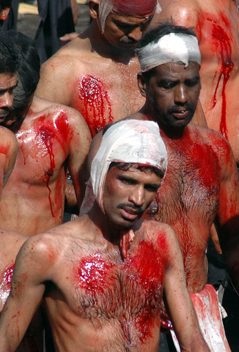 インドでも宗教行事「アシュラ」、むち打ち儀式も